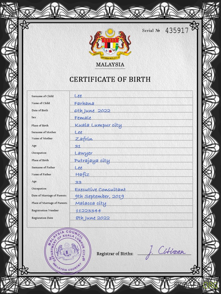 Modèle PSD de certificat de naissance d'état civil de Malaisie